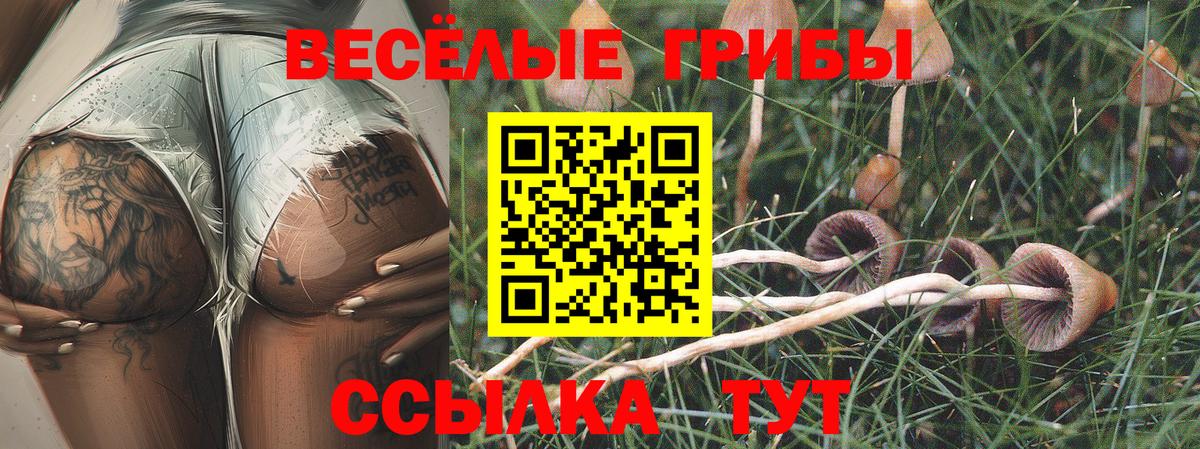 Псилоцибиновые грибы мицелий  Вход с VPN  Псилоцибиновые грибы мицелий  Рубцовск 